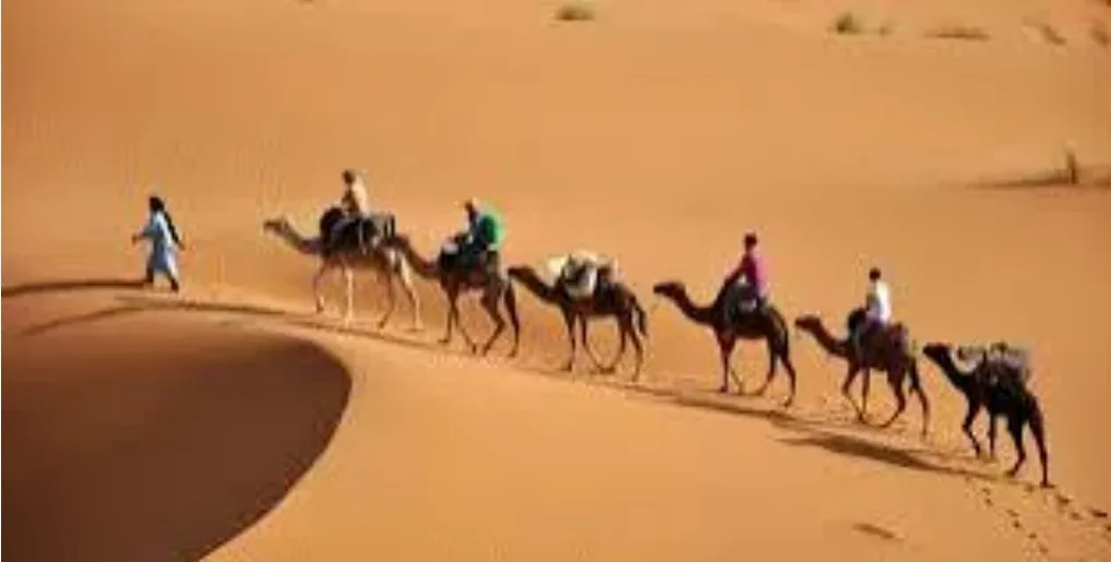 صفعة جديدة لتبون وكابراناته … المغرب يحقق إنجازا دبلوماسيا جديدا باعتماد الأمم المتحدة لقراره حول السياحة المستدامة