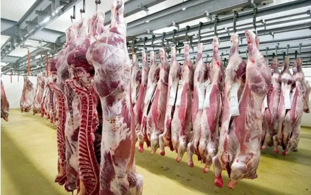وقف إستيراد اللحوم الحمراء إلى المغرب