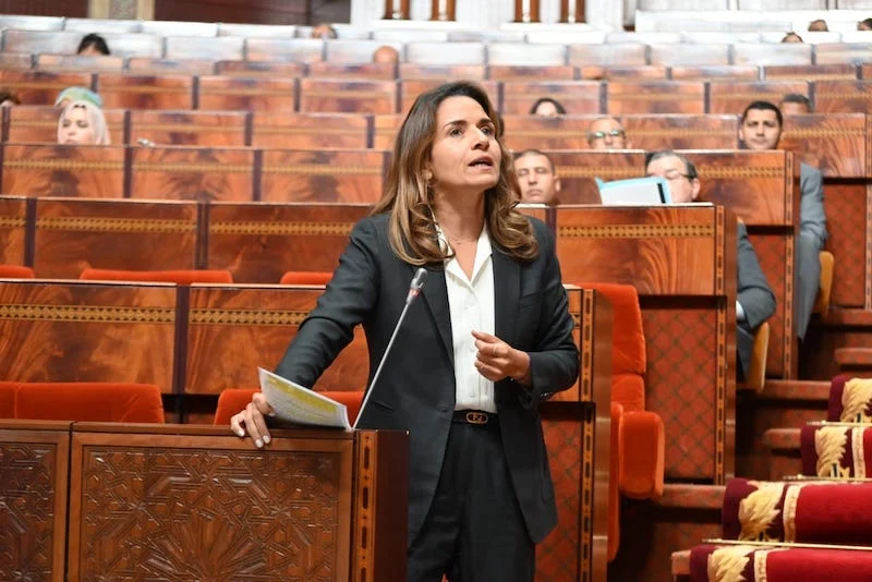 بنعلي تقر بفشل تدابير مكافحة التلوث البلاستيكي وتكشف تحديات النفايات الطبية