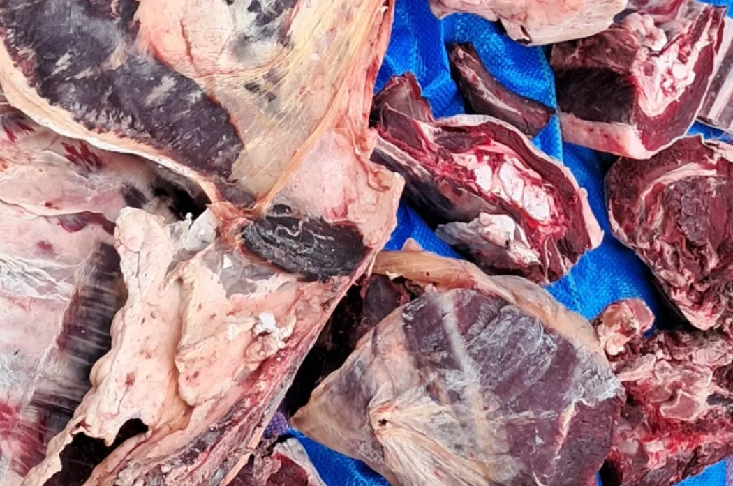 درك تافوغالت ببركان يضبط كميات ضخمة من اللحوم الفاسدة المعدة للإستهلاك ويوقف جزار