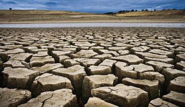 تقرير “غرينبيس” ينتقد النموذج الطاقي المغربي ..يلبي احتياجات أوروبا على حساب المغاربة