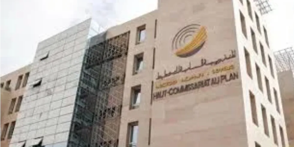 على عكس ما وعد به أخنوش.. إحداث 82 ألف منصب شغل خلال سنة 2024 فقط