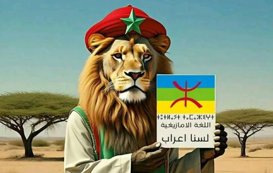 هي أصل ولسان الأغلبية الساحقة من المغاربة … أساتذة الأمازيغية بين الإقصاء والتهميش … أين العدالة في المنظومة التعليمية ؟