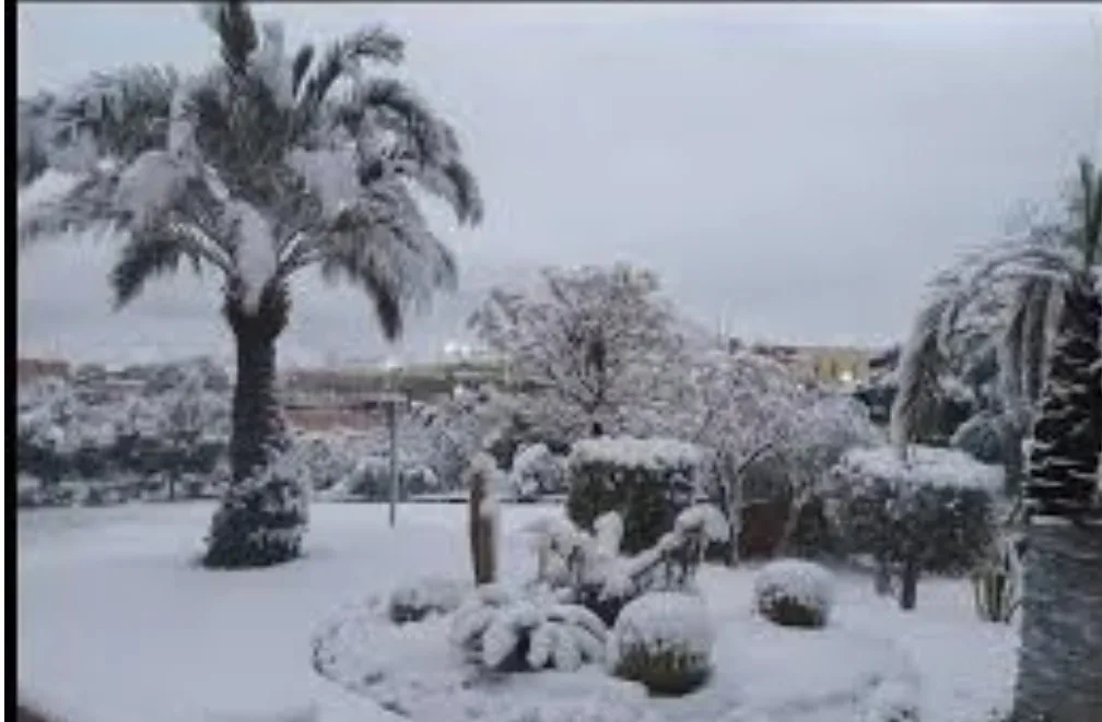 أحوال جوية مضطربة … ثلوج وأمطار ورياح قوية بعدد من مناطق المغرب