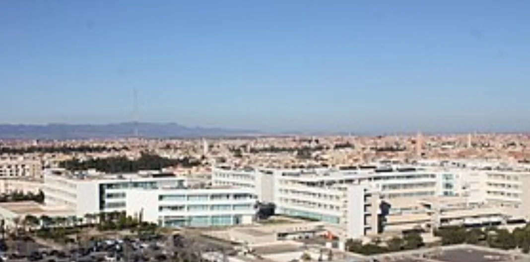 أطباء الدماغ والعمود الفقري بالمشفى الجامعي بوجدة يدخلون في إضراب بسبب سوء أحوال الإدارة