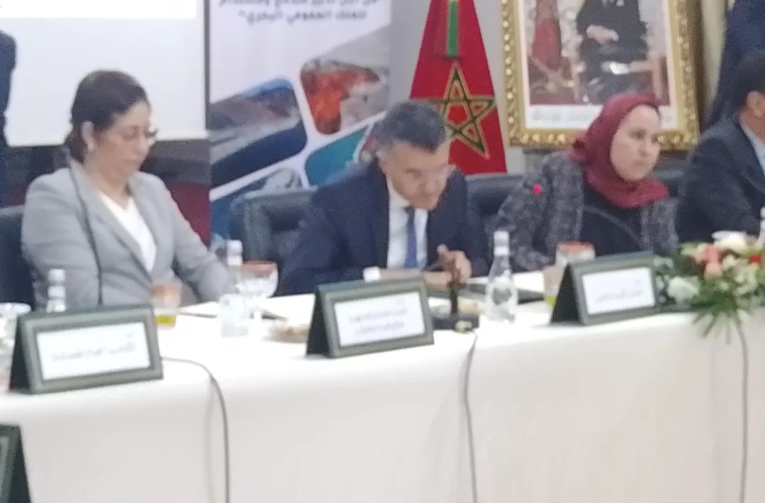 عامل إقليم الناظور يترأس ورشة جهوية حول تدبير الملك العام البحري والاقتصاد الأزرق
