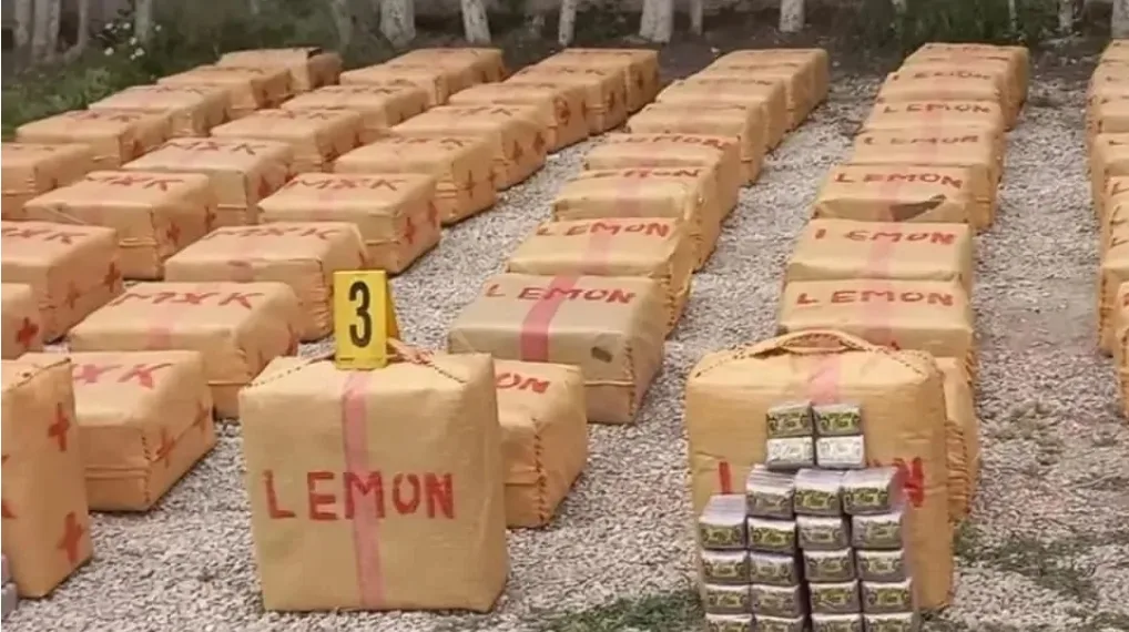 إحباط عملية تهريب نصف طن من الحشيش عبر شاطئ ضواحي طنجة