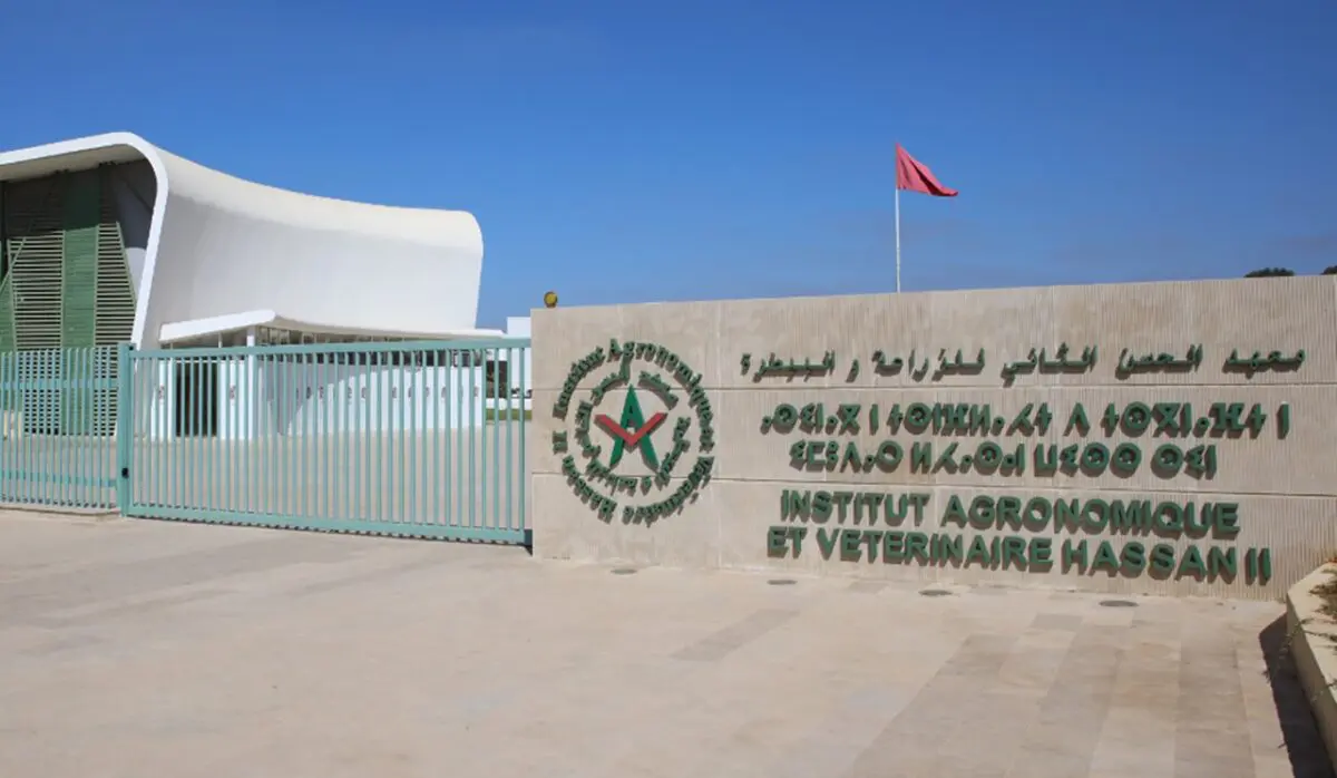 النقابة المغربية للتعليم العالي تدعو للتحقيق في ازدواجية المناصب بمعهد الحسن الثاني للزراعة والبيطرة