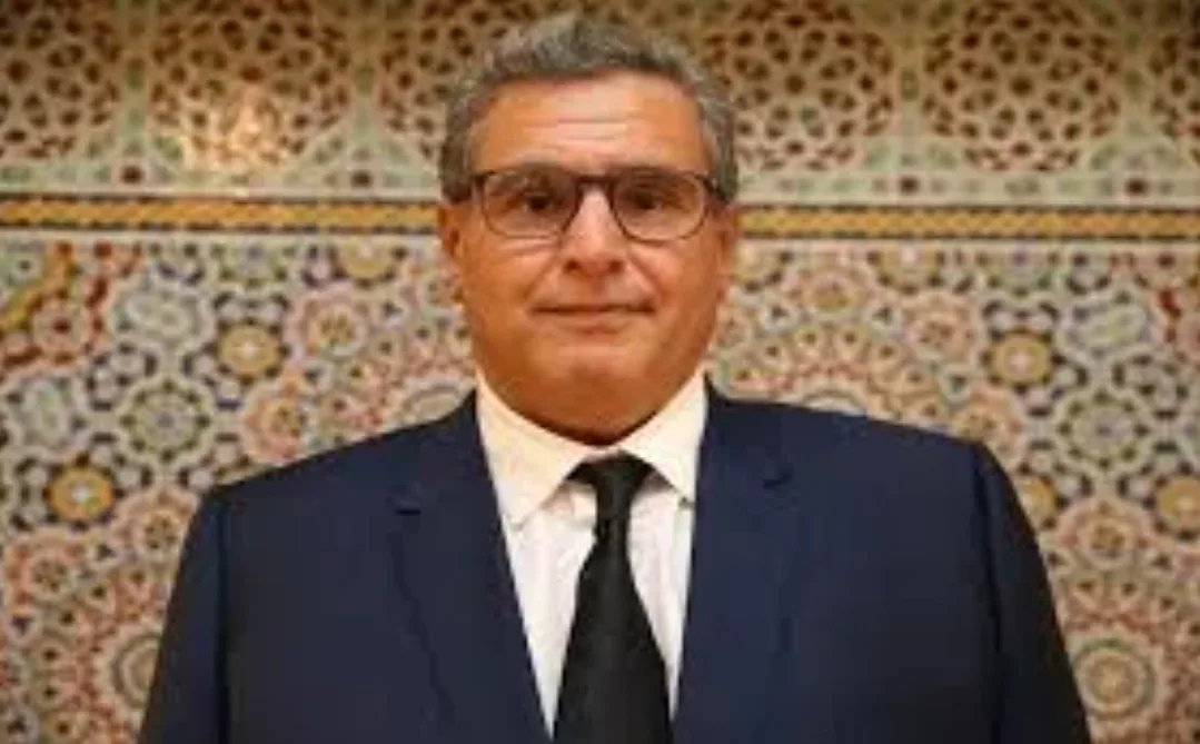 قد يعملون في جمع الحلزون … الحكومة المغربية تضع خريطة تشغيل 1,45 مليون شخص شرط تساقط الأمطار