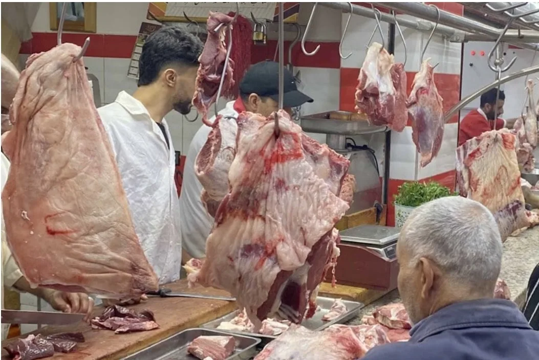 بين مدينتين ملتصقتين الناظور وازغنغان … فارق أسعار اللحوم الحمراء يصل إلى 20 درهما للكيلوغرام