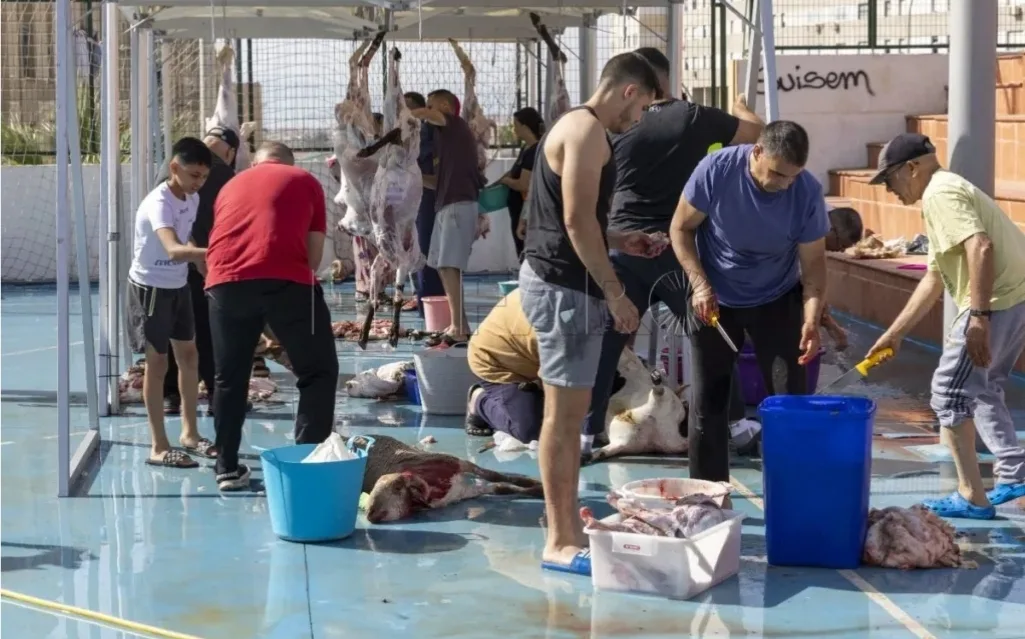حرية المسلمين في سبتة ومليلية لذبح الخروف وسط الجدل الإعلامي في إسبانيا