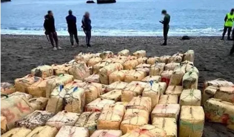 مصدر مسؤول لـ”كواليس الريف” … تم حجز 29 رزمة “شيرا” من أصل 42 وإجهاض مساع لطمس القضية من طرف مسؤول بالدرك القضائي