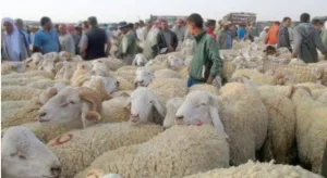 برلماني يشارك حزبه في حكومة أخنوش … يجب محاسبة رئيس الحكومة عن مصير 1300 مليار من الدعم !