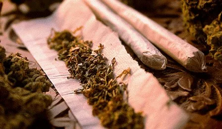 جبهة القوى الديمقراطية تدعو إلى حوار وطني جريء لتقنين “الكيف”