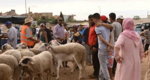 الداخلية تصدر تعليمات صارمة  بمنع جميع الأنشطة المرتبطة بعيد الأضحى