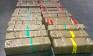 حجز أزيد من 9 أطنان من الحشيش داخل شاحنة قادمة من المغرب قرب ليون