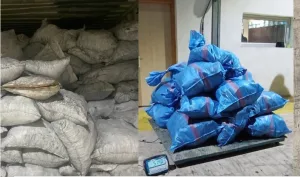 إحباط تهريب نصف طن من الكوكايين بميناء طنجة المتوسط