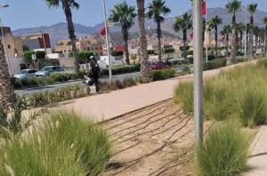وسط إتهامات بعدم الشفافية … وكالة “مارتشيكا” بالناظور تعلن عن طلبات عروض لخدمات النظافة والمساحات الخضراء