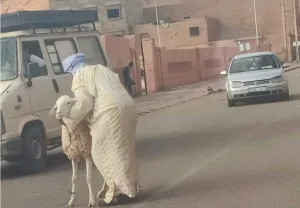 رغم قرار المنع … في بوعرفة يظهر أن السلطات غير مكترثة بشراء أضاحي العيد