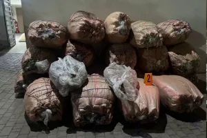 عملية أمنية تسفر عن توقيف ثلاثة مشتبهين بحيازة وترويج كميات كبيرة من المخدرات بسطات وخريبكة وابن أحمد