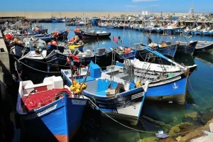 بحّارة الصيد الساحلي يشكون لهيب أسعار الغازوال وتراجع المصطادات بسواحل المغرب