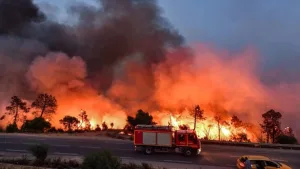 الوكيل العام بطنجة يعلن توقيف مشتبه فيه بحريق غابة هوارة وحجز ولاعات وسلاح أبيض بحوزته
