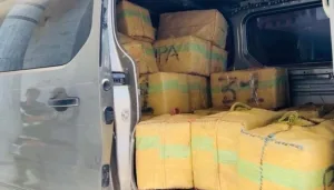 آسفي … الدرك الملكي يُجهِض محاولة تهريب طن ونصف من الحشيش