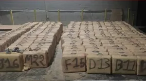 إحباط محاولة تهريب أكثر من 7 أطنان من الحشيش بميناء طنجة المتوسط