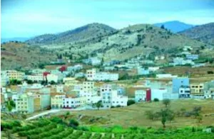 الحسيمة :    النائب البرلماني أمغار يدق ناقوس الخطر بشأن أعمدة كهربائية تهدد ساكنة تماسينت