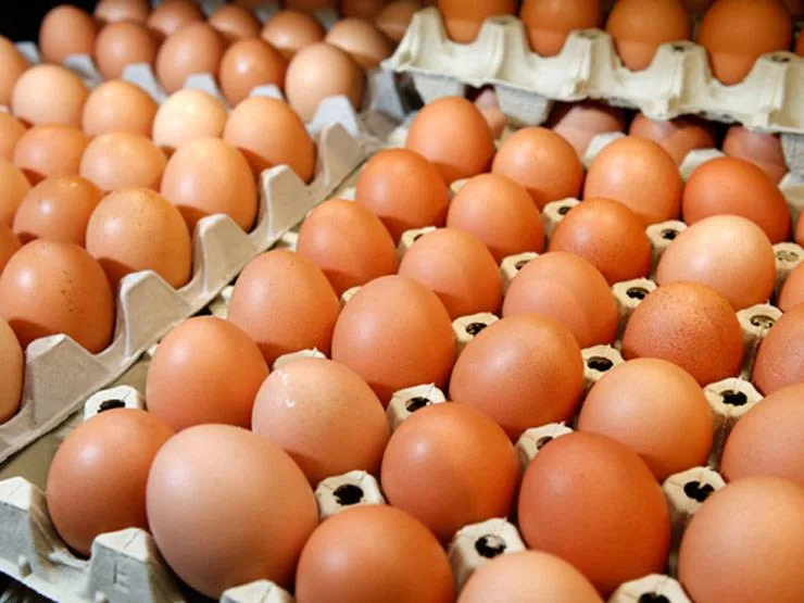 ارتفاع غير متوقع في أسعار بيض المائدة يثير جدلاً واسعاً بين المنتجين والموزعين