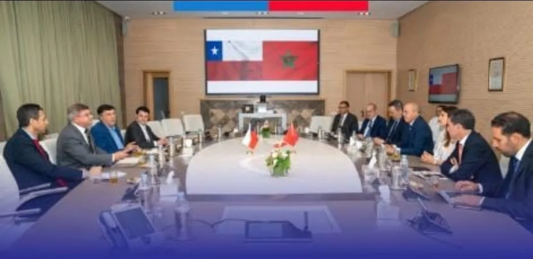 الشيلي تراهن على المغرب كشريك استراتيجي لتوسيع صادراتها الزراعية نحو إفريقيا