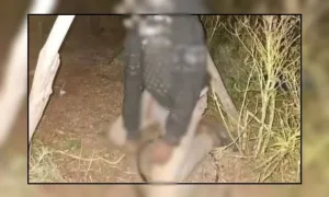 النيابة العامة تنفي تعرض طفل بومية لاعتداء جنسي وتكشف تفاصيل التشريح
