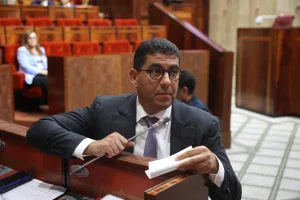 بنسعيد: تنظيم الصحافة مسؤولية مهنية لا وصاية فيها ولا تحكم