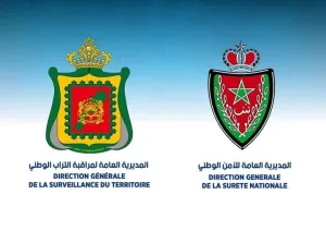 الديستي تقود شرطة أسفي لضبط شحنة ضخمة من الشيرا بأسفي وتفكيك شبكة للتهريب الدولي