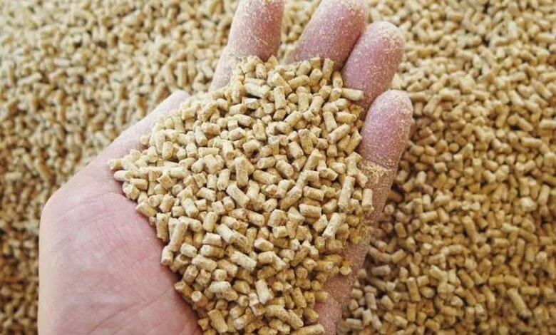 مطاحن المغرب تواجه أزمة تسويق نخالة الحبوب وسط مخاوف من تأثيرها على إنتاج الدقيق والأعلاف