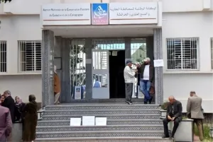 موظف بالمحافظة العقارية بالناظور يهرّب ملفات المواطنين إلى منزله وسط مطالب بالتحقيق