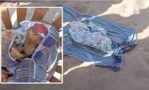 إنقاذ قطة من الغرق تحمل “سحرًا” في فمها بشاطئ أكادير يسلط الضوء على ممارسات الشعوذة واستغلال الحيوانات