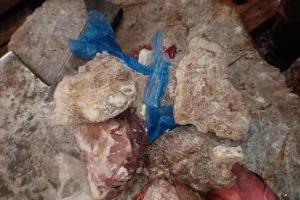 حملات مراقبة صارمة تكشف عن لحوم فاسدة وتغلق محلات مخالفة في المضيق الفنيدق