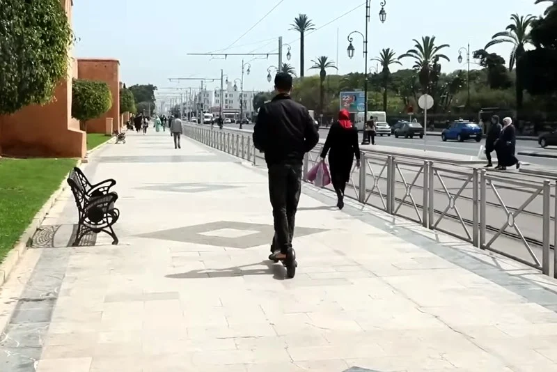 التروتينيت في المغرب بين تقنين متقدم وتأمين غائب