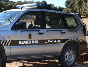 القبض على العقل المدبر لاعتداء سيدي بيبي في اشتوكة آيت باها