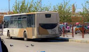 مدينة تموّل نهايتها .. “حافلات الموت” تبتلع 3 مليارات من جماعة وجدة كمكافأة على سوء الخدمات