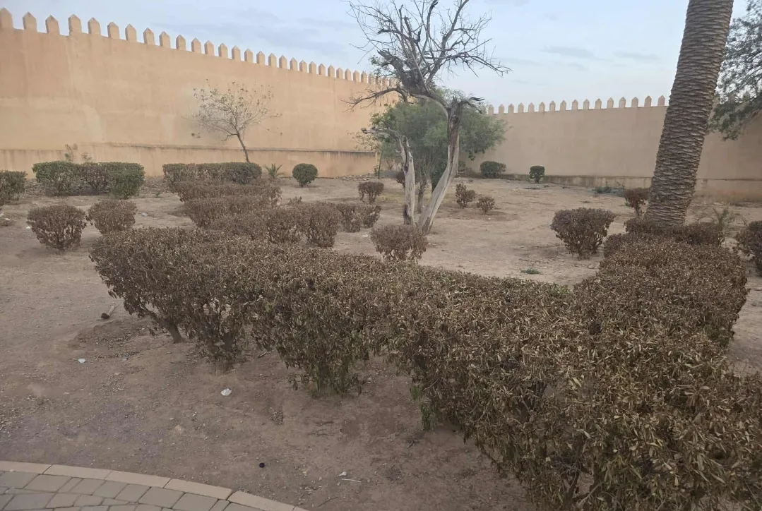 بسبب الإهمال … واحة سيدي يحيى بوجدة تتحول إلى صحراء قاحلة