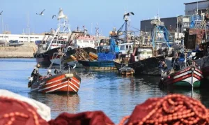 ارتفاع ملحوظ في منتجات الصيد بميناء العيون وسط تفاوت في أصناف الأسماك