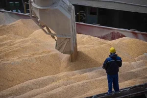 روسيا تحذر من تراجع صادرات القمح إلى المغرب بسبب تصاعد المنافسة العالمية