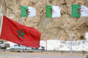 الفن والثقافة جسور للتقارب المغاربي في مواجهة خطاب الكراهية