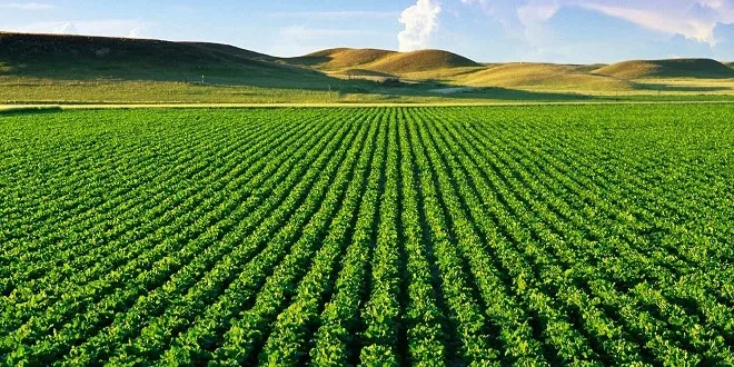 المغرب يفقد مئات آلاف الهكتارات من أراضيه الزراعية خلال العقد الأخير