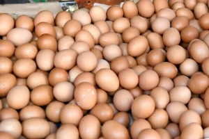 تحذيرات من غياب الترقيم بسوق البيض واتهامات بتهديد صحة المستهلك المغربي