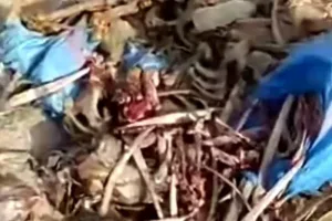 ثمانية أشهر حبسا لناشر فيديو “عظام الحمير” بواد أمليل بعد اتهامه بترويج أخبار كاذبة