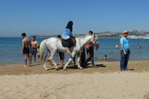 مصادرة حصانين بشاطئ طنجة في إطار مكافحة الاحتلال غير القانوني للملك العام