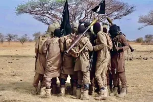 أكثر من 22 ألف قتيل خلال عام واحد.. إفريقيا تواجه أعنف موجة تطرف مسلح